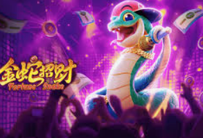 星空电竞app客户端