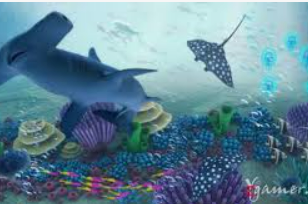 星空电竞app免费版